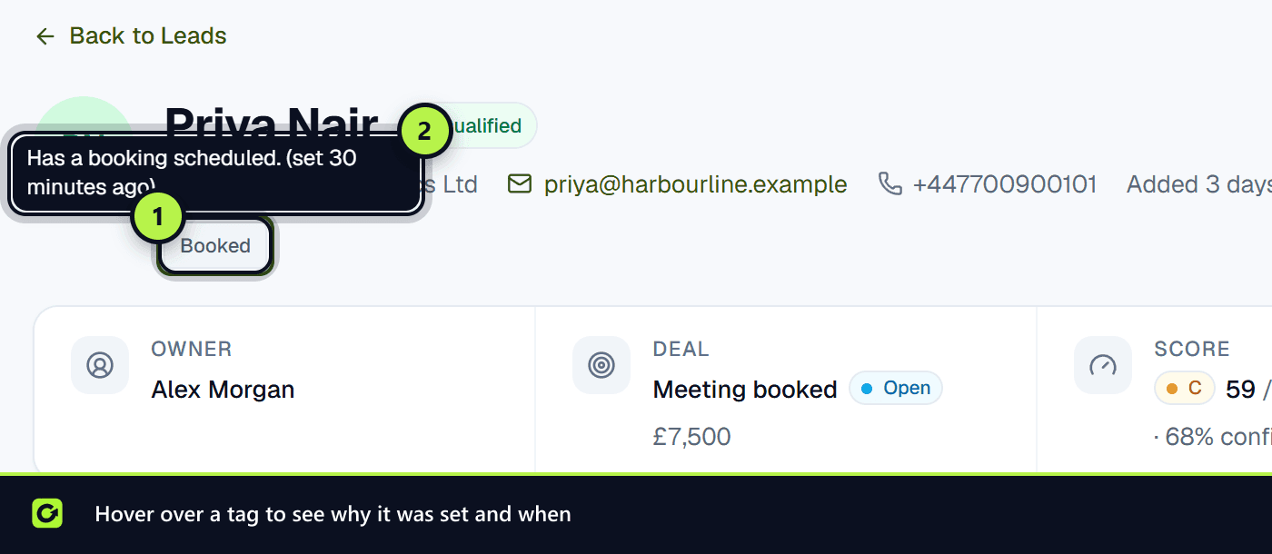A tag badge on the lead page with its tooltip giving the reason and when it was set
