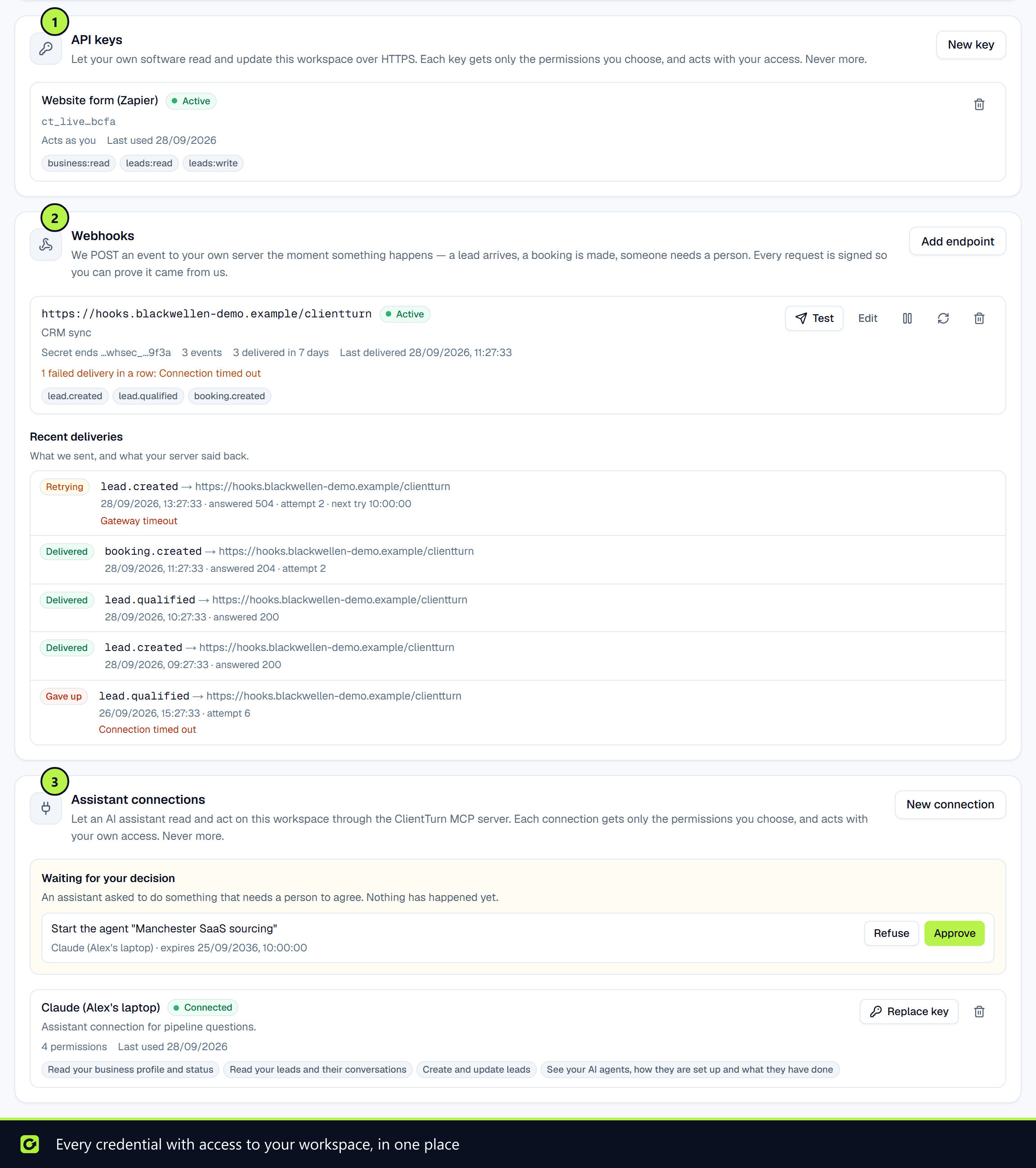 The Developer section with one API key, one webhook endpoint and one assistant connection